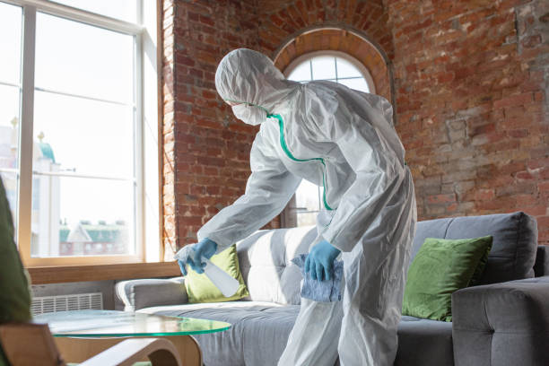 Best Mold Odor Removal Services  in Heflin, AL